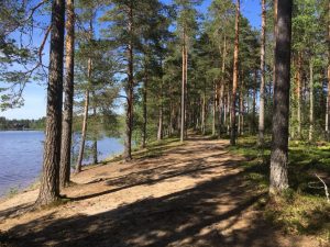 Ruostejärvi Lake in Tammela