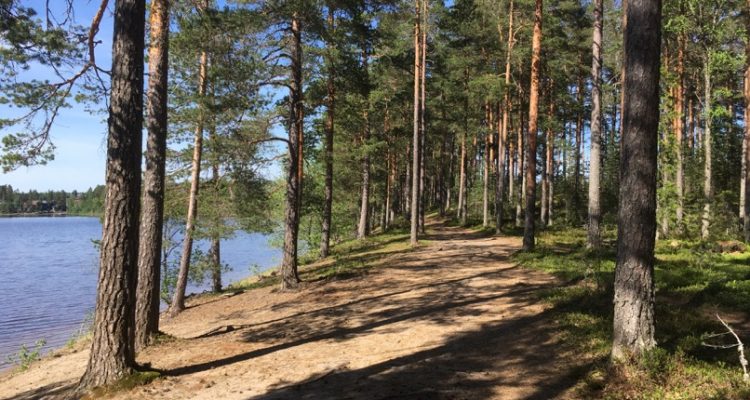 Ruostejärvi Lake in Tammela