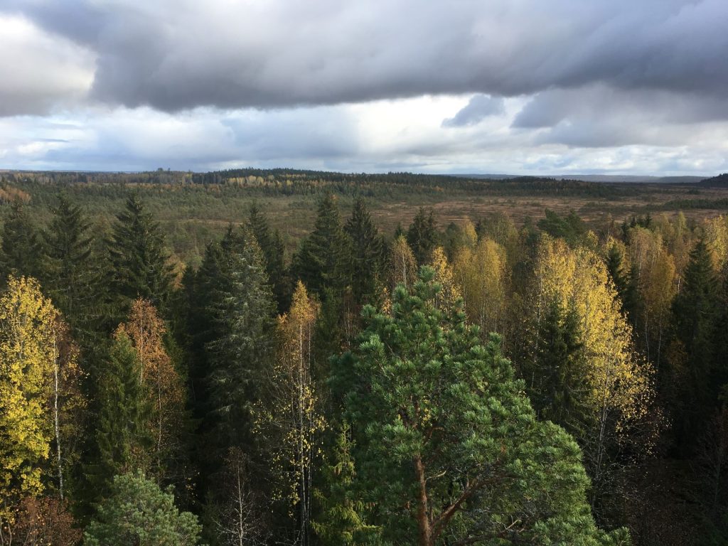 Torronsuo National Park