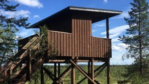 Yrjö Kokko birdwatching tower in Enontekiö Lapland