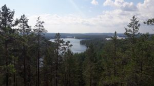 View from Neitvuori over the Lakeland
