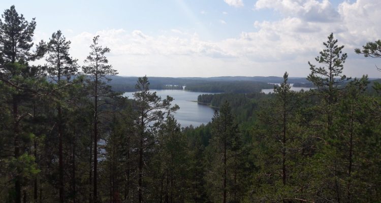 View from Neitvuori over the Lakeland