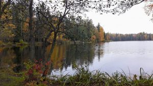 Gallträsk lake