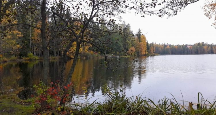 Gallträsk lake
