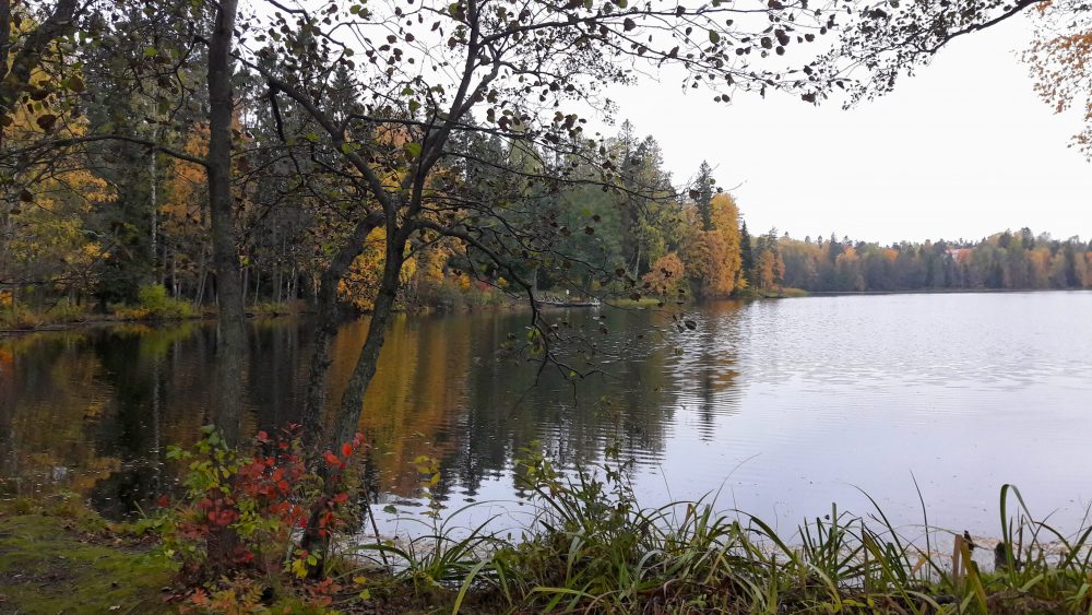 Gallträsk lake