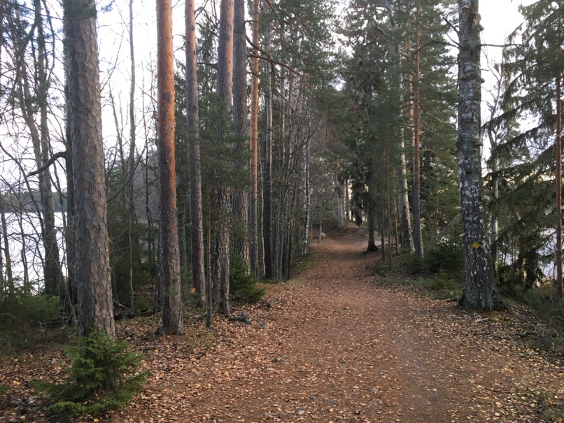 Kyynäränharju path