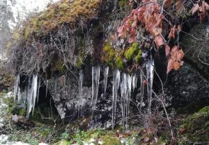 Tepasto nature trail