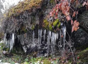 Tepasto nature trail