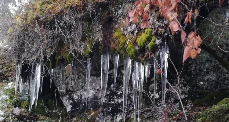 Tepasto nature trail