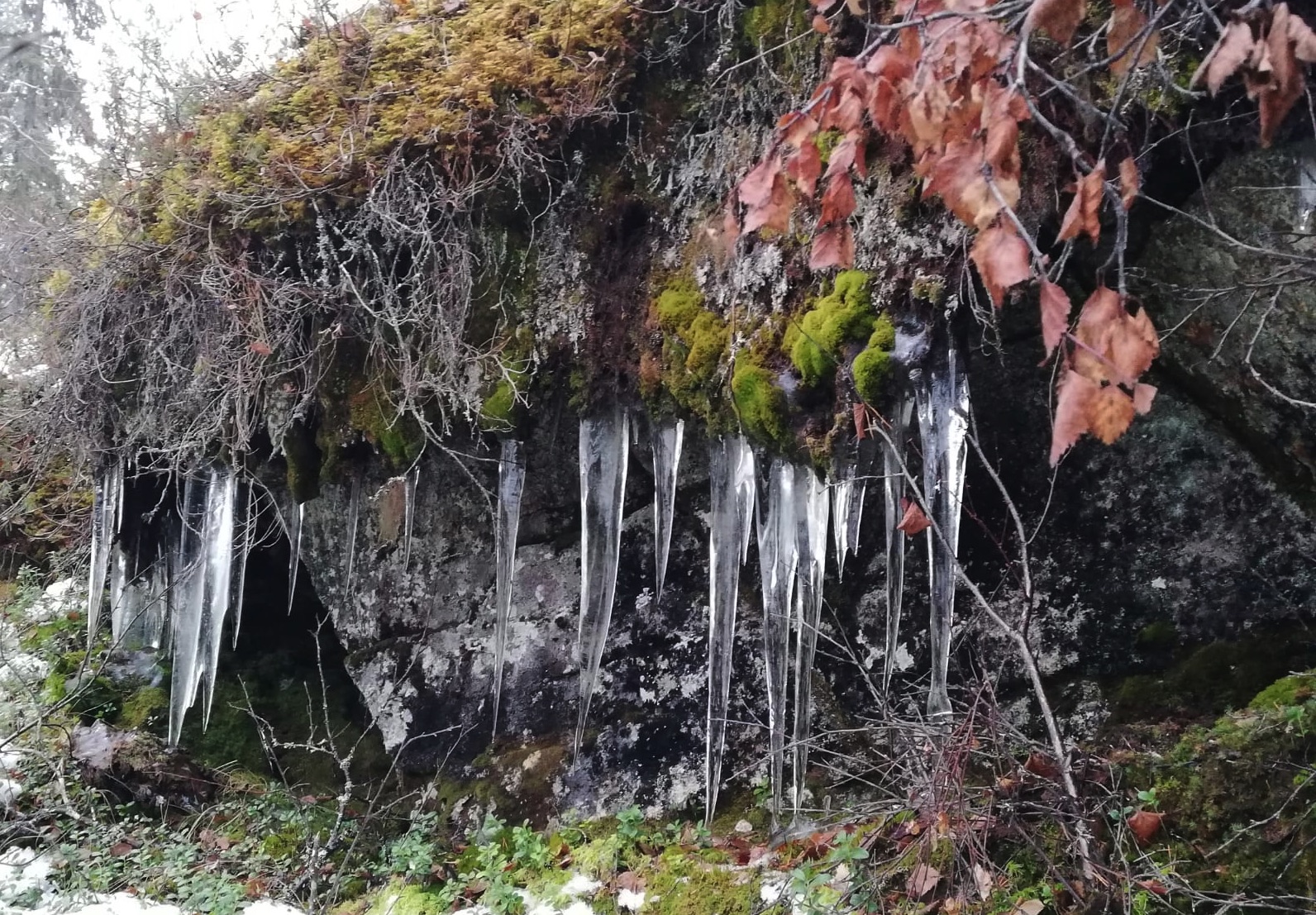 Tepasto nature trail