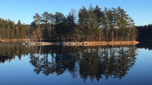 An island in Iso-Valkee lake