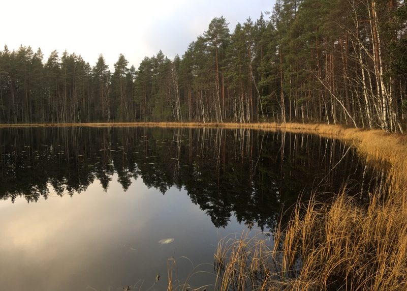 Pääjärvi recreation area