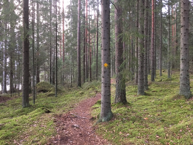 Pääjärvi recreation area