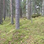 Pääjärvi recreation area