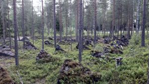 Salpalinja Salpa Line Luumäki Finland