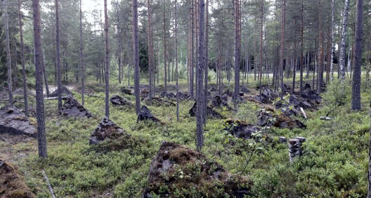 Salpalinja Salpa Line Luumäki Finland