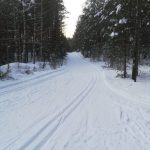 Cross country skiing in Lohja