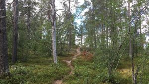Jyppyrä nature trail in Hetta