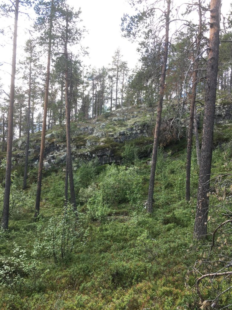Kuntopolku trail in Hetta