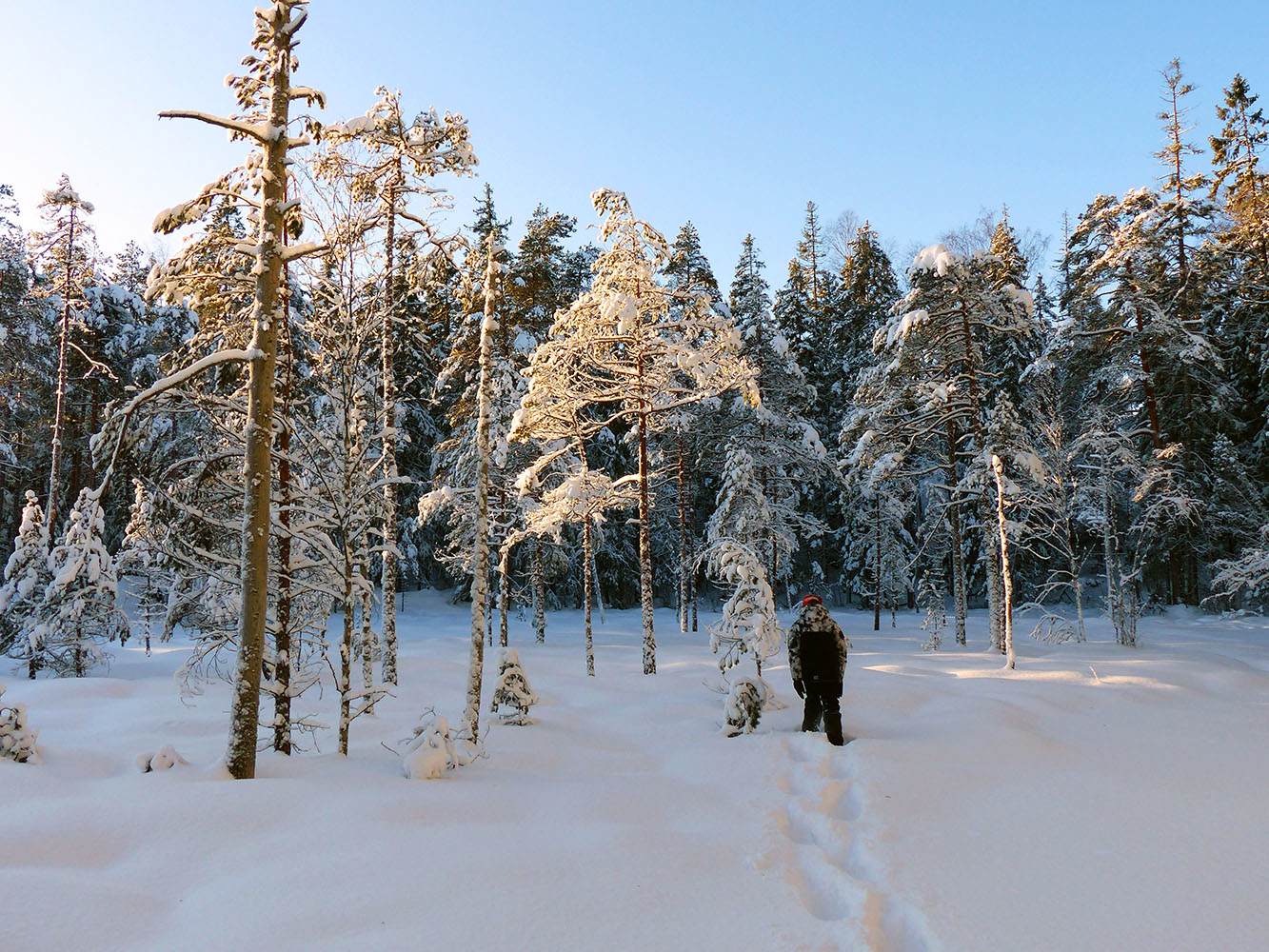 Snowshoeing