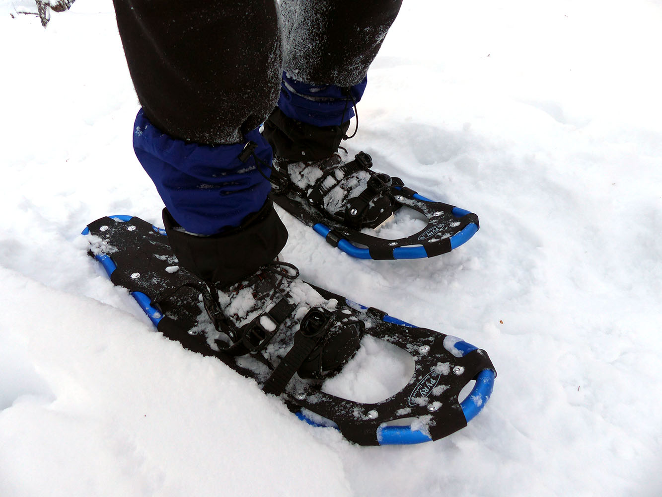 Snowshoes