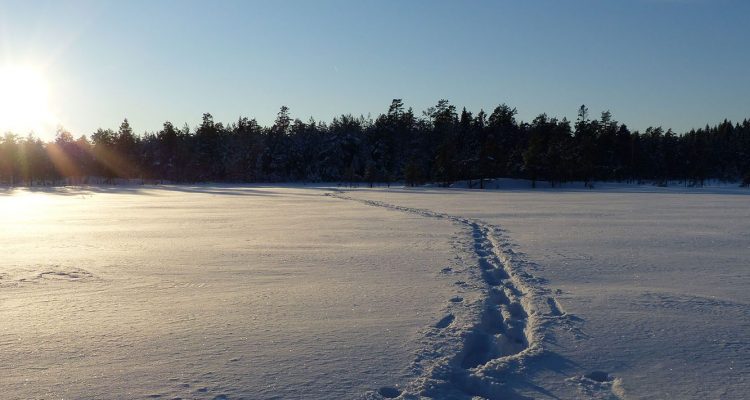 Snowshoeing tracks