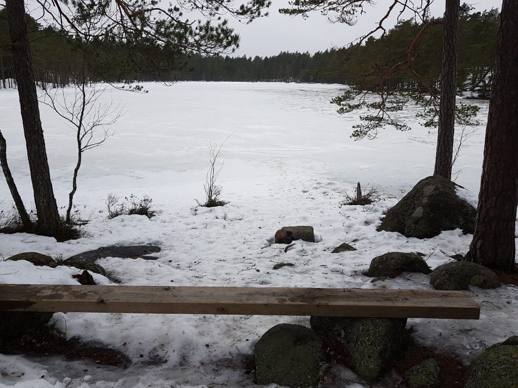 View to Lake Kotolampi