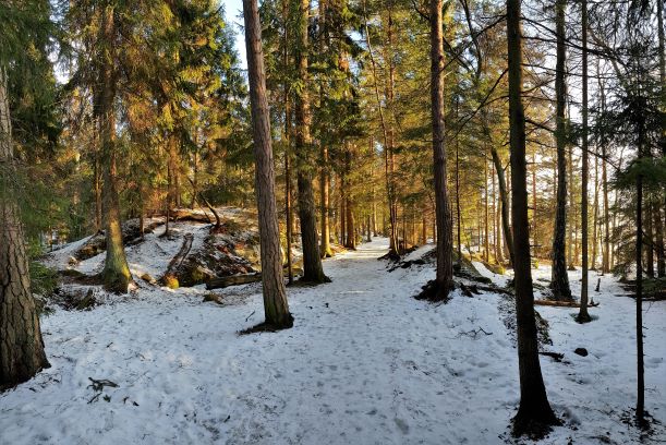 Uutela trails in Vuosaari Helsinki.