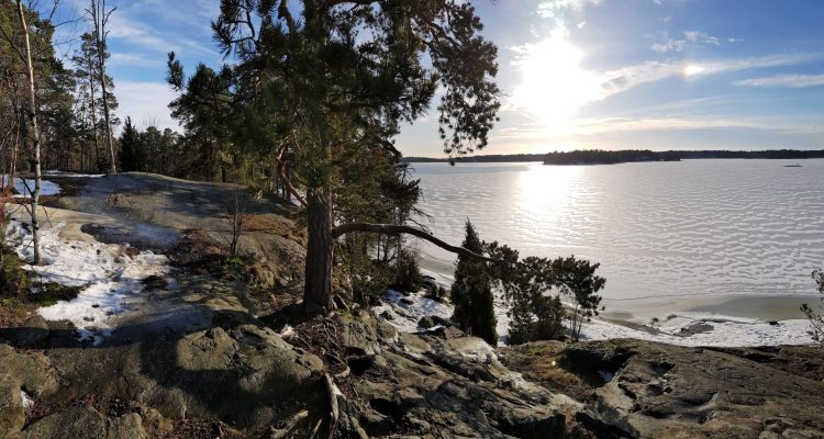 Uutela trails in Vuosaari Helsinki
