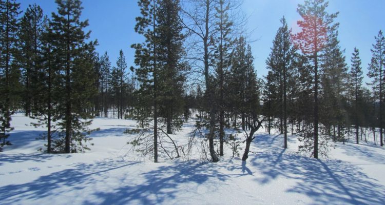 Winter highlights in Finland
