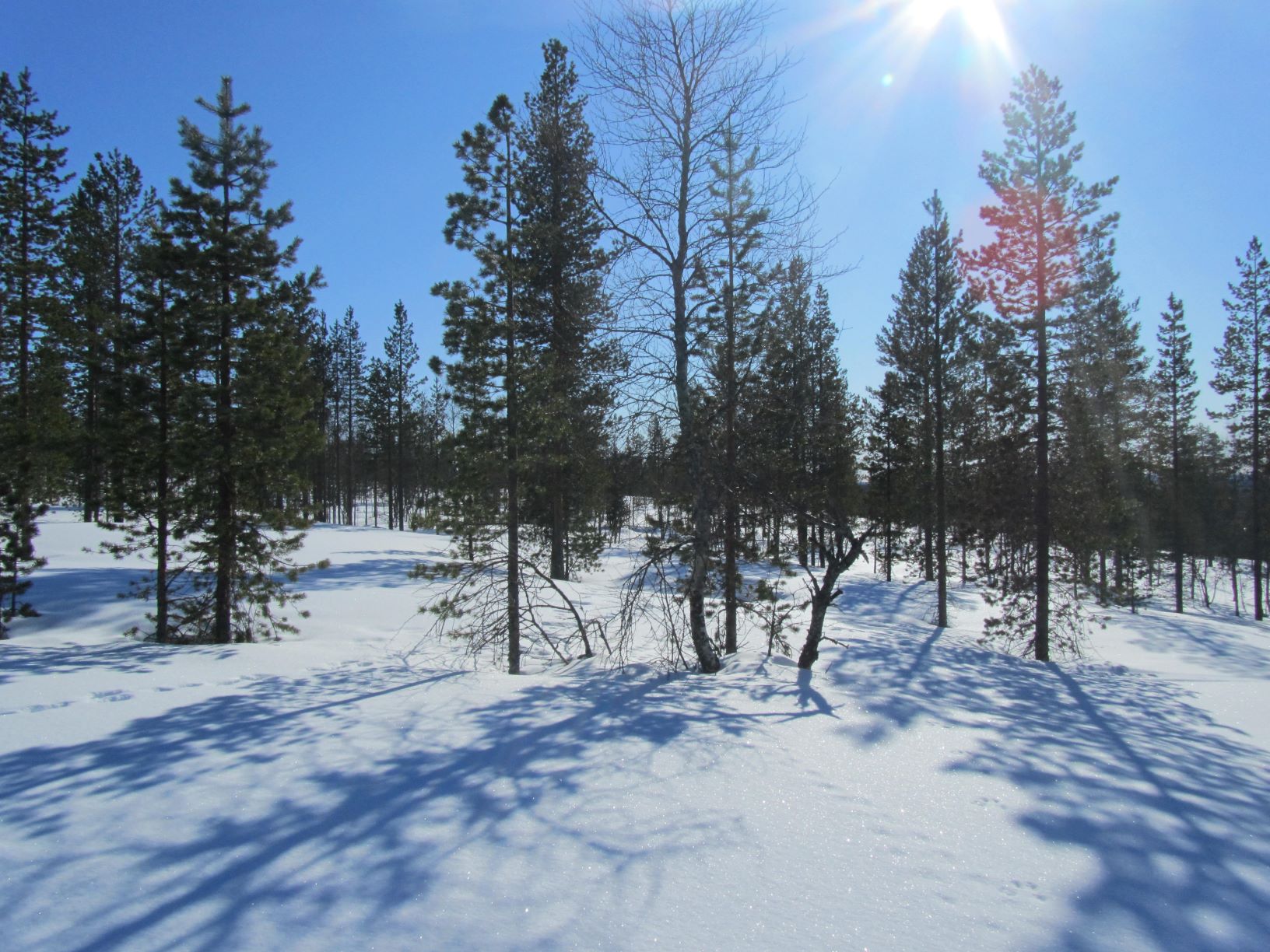 Winter highlights in Finland