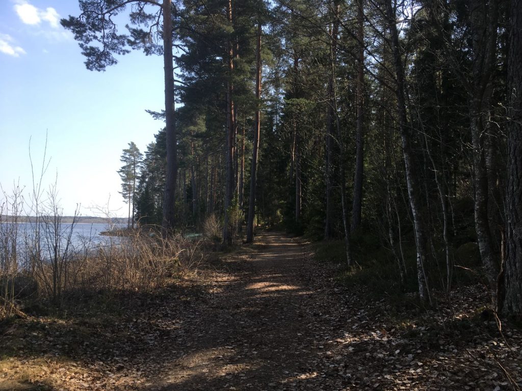 Saari Folk Park trails along lake Kuivajärvi