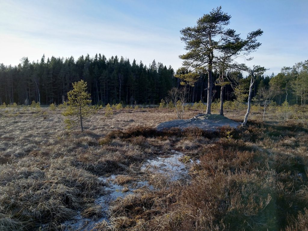 Teijo National Park