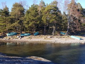 Rowing boats on the shore