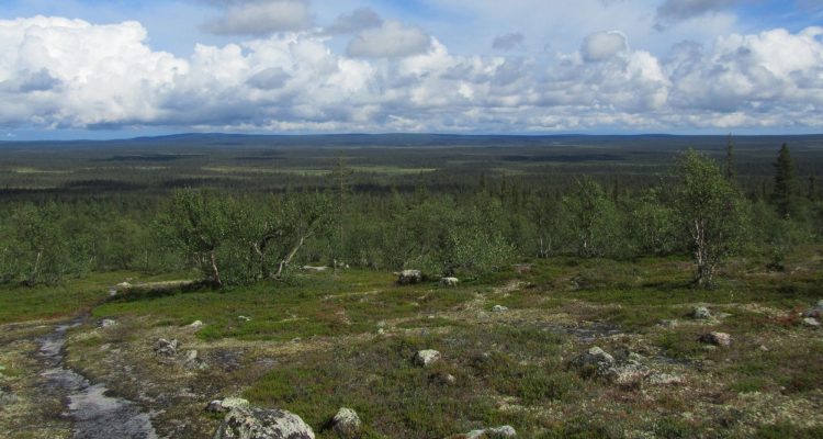 Pulju wilderness area