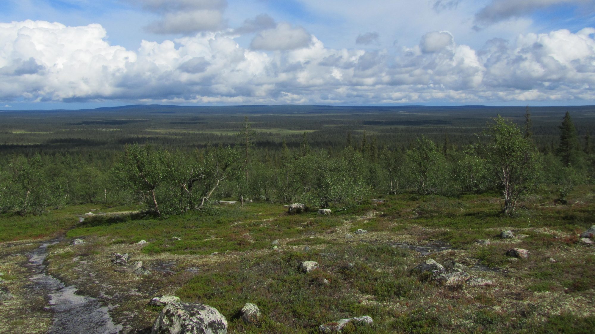 Pulju wilderness area