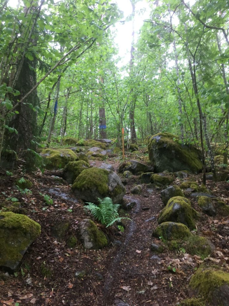 Rissla forest trail in Fiskars