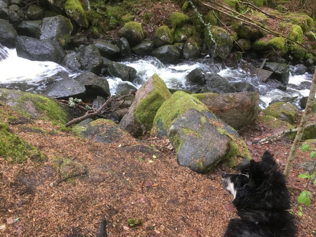 Rissla waterfall in Fiskars in Raseborg