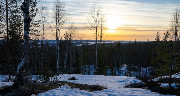 Southern Konnevesi National Park