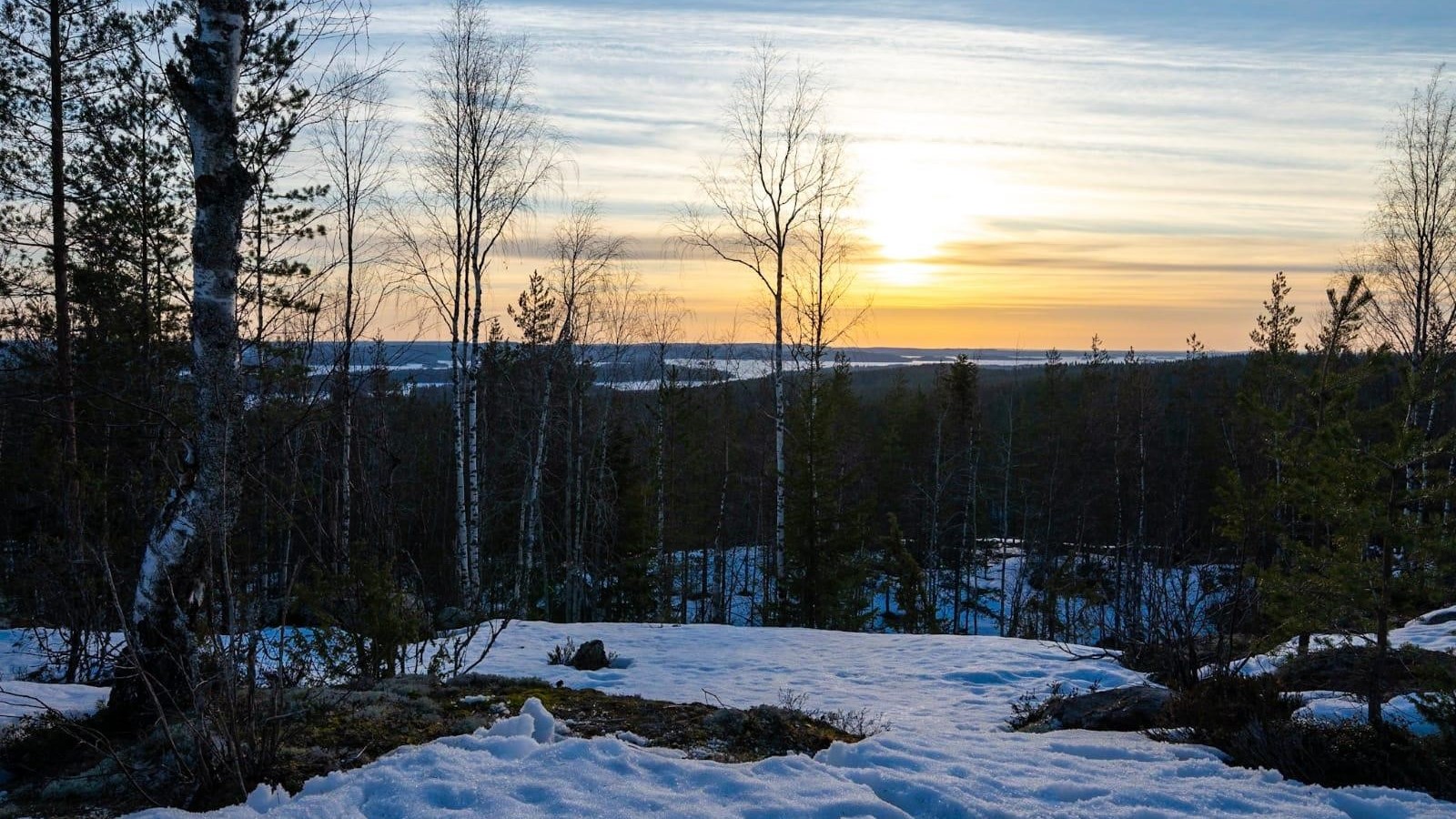 Southern Konnevesi National Park