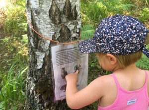 Child in the nature