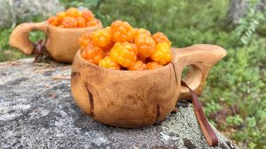 Cloudberries in Lapland