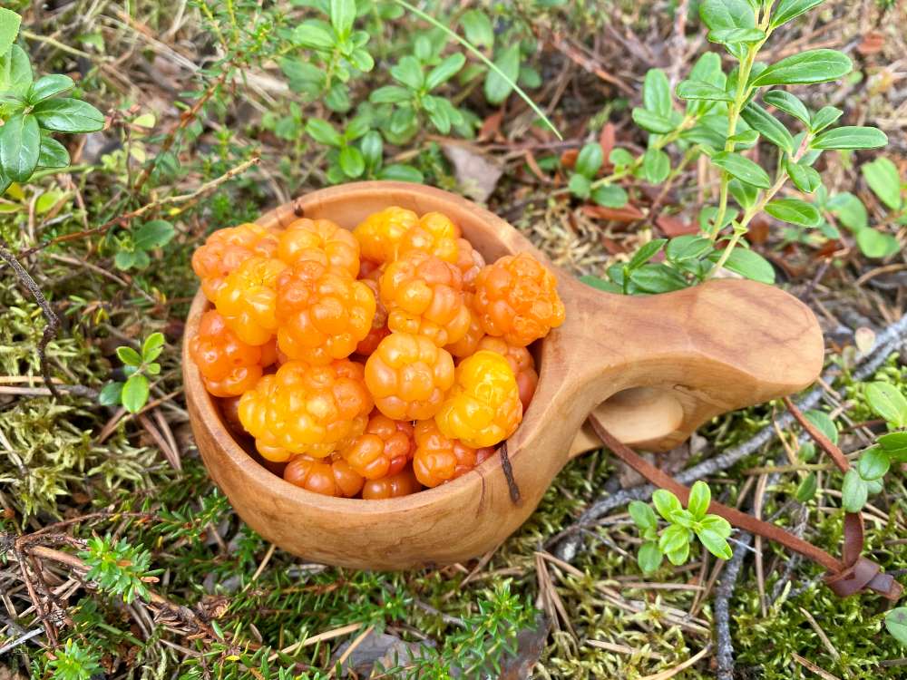 Cloudberries in kuksa