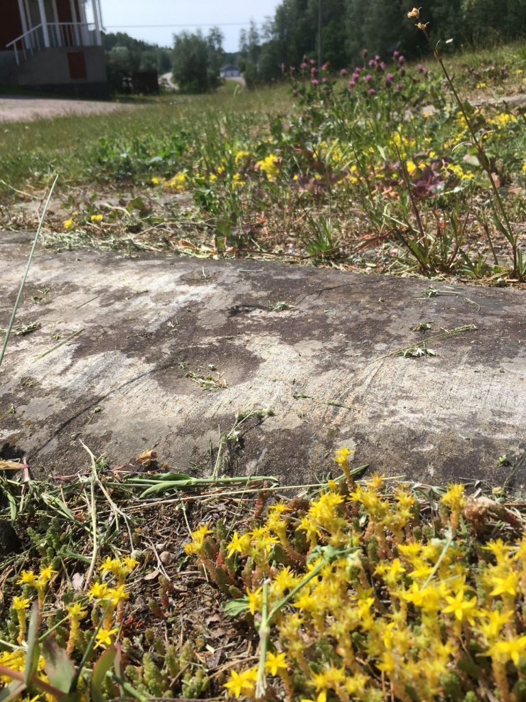 Cup-marked stones in Lohja