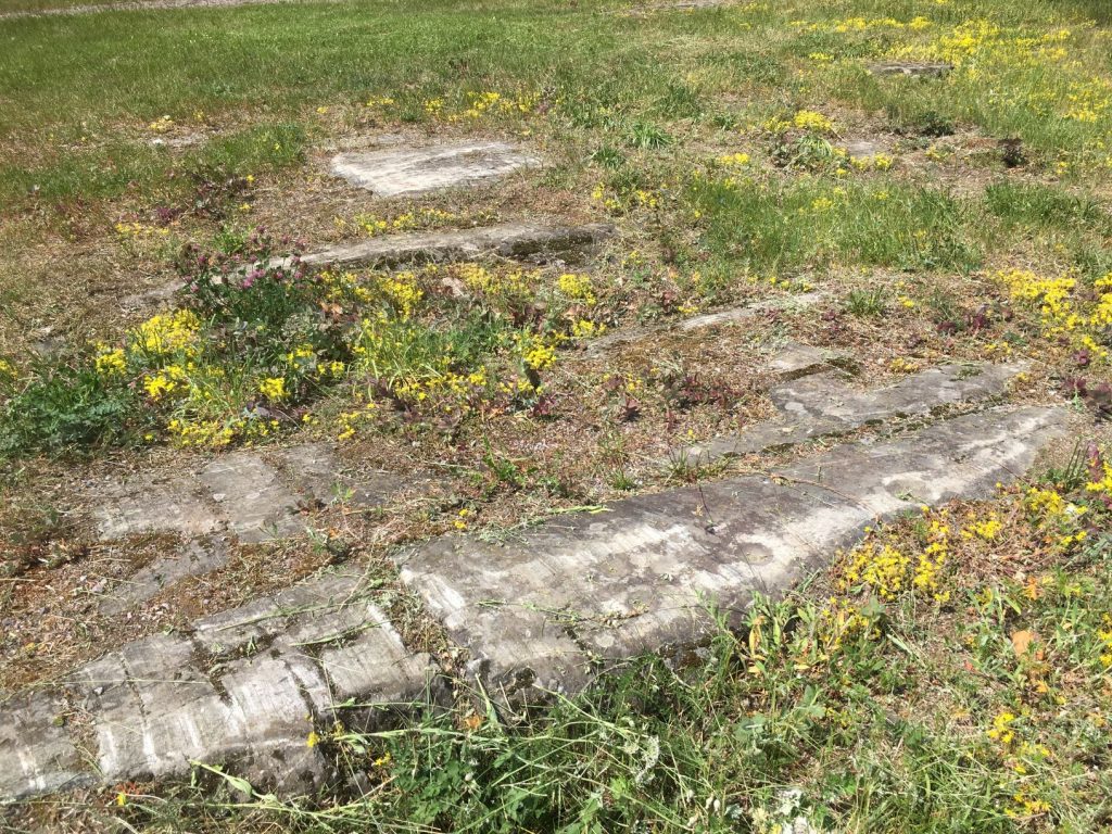 Cup-marked stones in Lohja