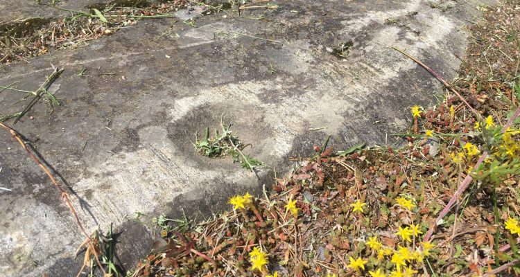 Cup-marked stones in Lohja