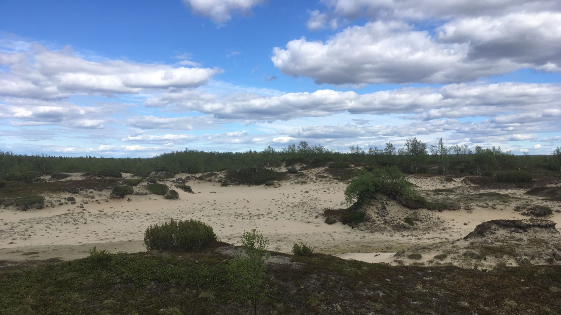 Hietatievat in Enontekiö