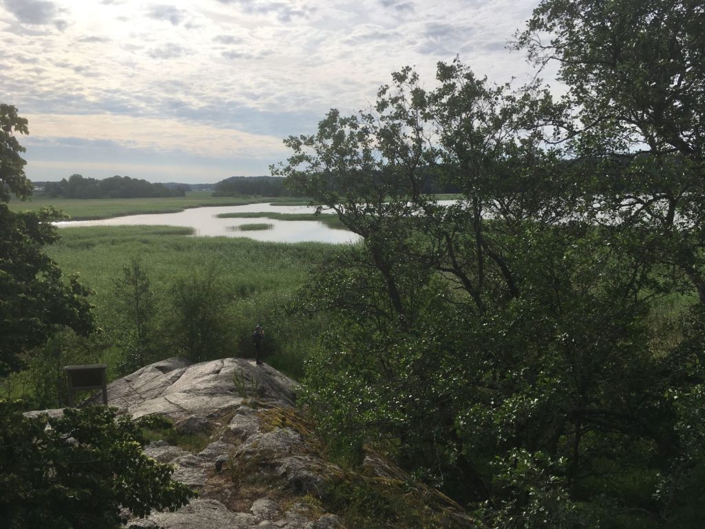 Birdwatching at Katariinanlaakso