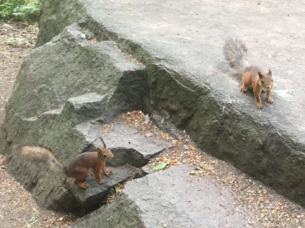 Locals at Katariinanlaakso