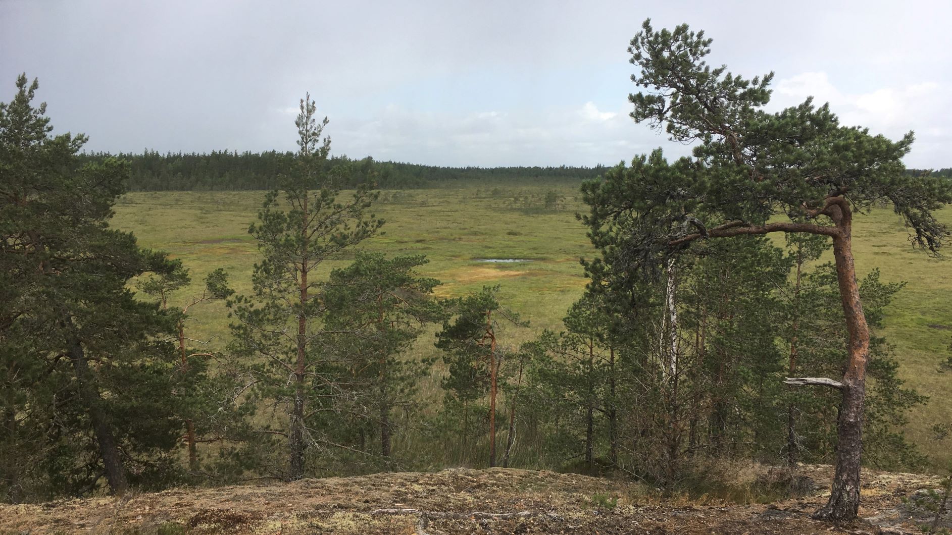 Marttila wilderness trails